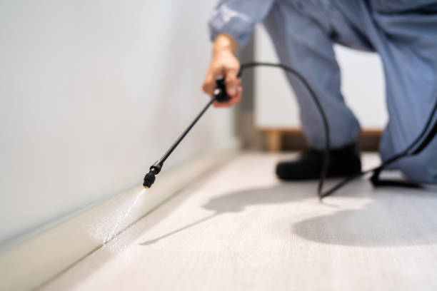 Rodent Entry Point Assessment in Orange Cove