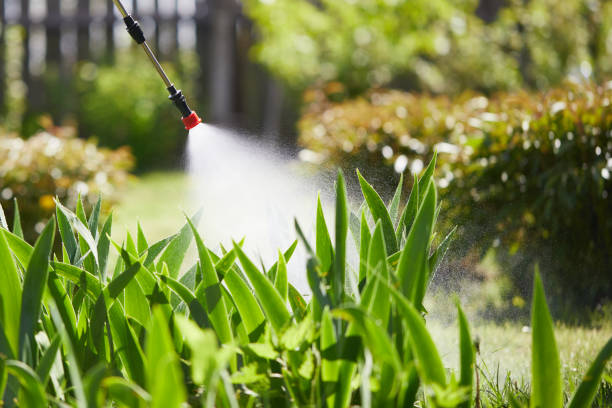 Tamper-Resistant Bait Stations for Rodents in Orange Cove