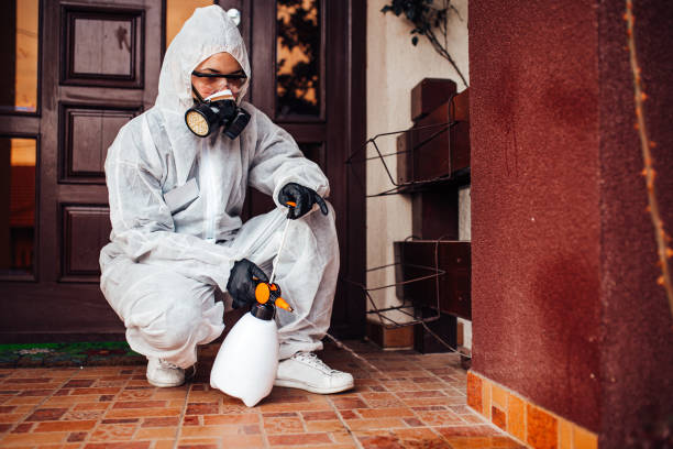 Attic and Crawl Space Rodent Treatment in Orange Cove