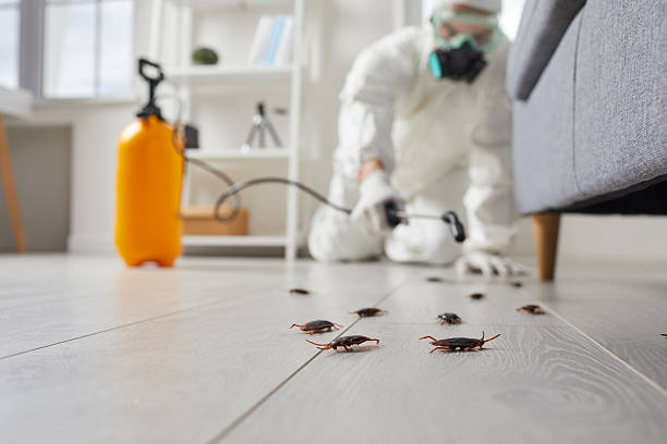 Commercial Rodent Management in Orange Cove